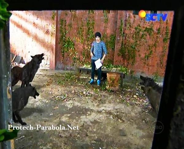 Aliando GGS Episode 270