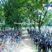 Medan Perang Besar GGS Episode 261