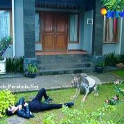 Aliando dan Prilly GGS Episode 291-1
