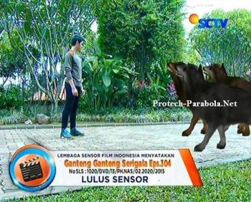 Ganteng Ganteng Serigala Episode 304