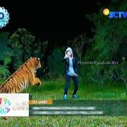Digo dan Ratu Macan GGS Episode 410