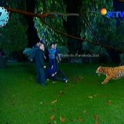 Pemain GGS Episode 414-5