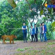 Pemain GGS Episode 416