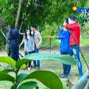 Pemain GGS Episode 431-9