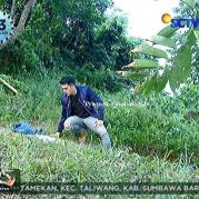 Ricky Harun GGS Episode 407