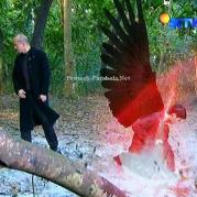 ALiando GGS Episode 438