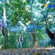 Jerry vs Aliando GGS Episode 446