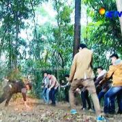 Pemain GGS Episode 462