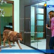 Foto Pemain GGS Returns Episode 54-3